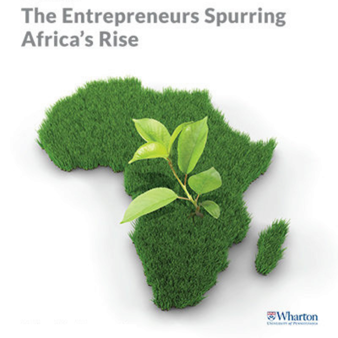 African Entrepreneurs Special Report Thumbnail