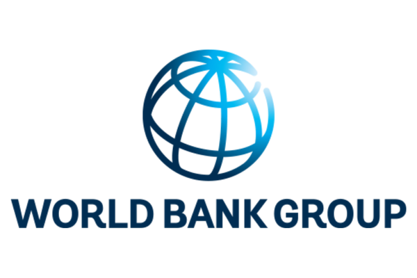 World Bank Group Logo in navy blue with globe emblem
