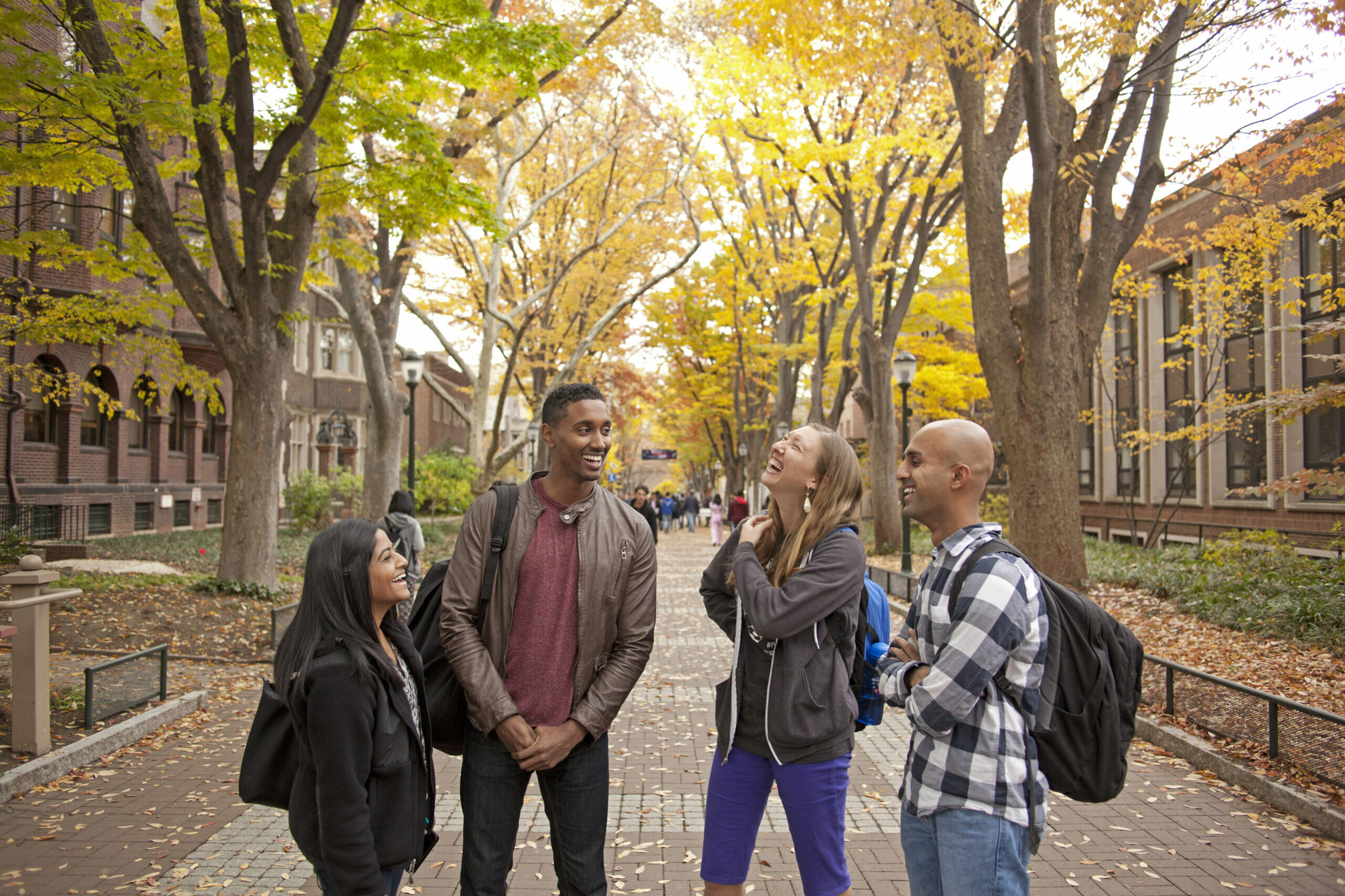 Four MBA students talking on Locus Walk in front of Steinberg Hall Dietrich Hall in the fall with trees with yellow leaves in the background.
