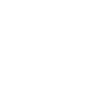 House and car in water