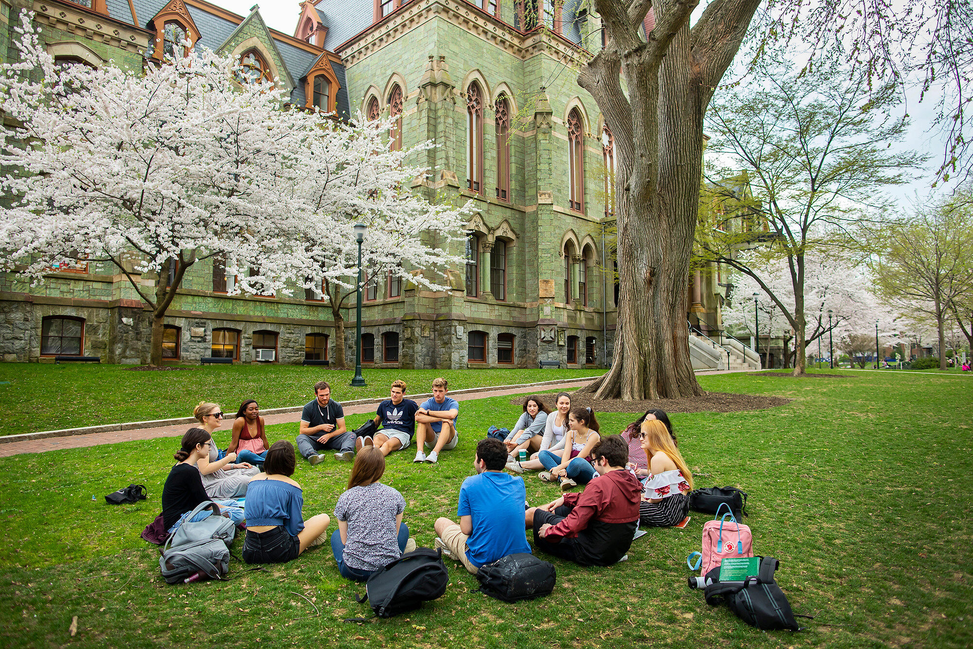 Students gathered in a circle chatting on the grass on campus during the spring time with cherry blossoms blooming in the background
