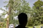 The silhouette of a person's head is shown in front of a backdrop of trees mangled by storms.