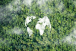 A white outline of the world's countries is superimposed atop an aerial view of tree tops.